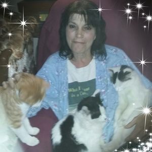 Meet your Posher, Judy